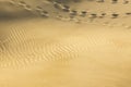 Sand dunes with wind in the desert with footprints Royalty Free Stock Photo