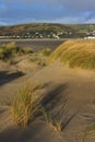 Sand Dunes at Ynyslas Royalty Free Stock Photo
