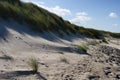 Sand dunes on Zeeland beach in Netherlands
