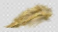 Sand dust clouds on transparent background. Road dust cloud with dirt or soil particles, brown color powder splash frozen motion