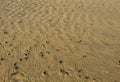 Sand view from a beach. pattern on beach side by sea waves.