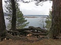 Soil Erosion by the lake. Royalty Free Stock Photo