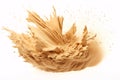 Sand Explosion on White Background. Abstract, Dynamic, and Striking