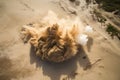 sand explosion captured from bird's-eye view, with the blast reaching high into the sky