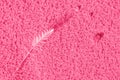 Sand with feather, viva magenta color. background for design Royalty Free Stock Photo