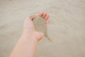 Sand flowing from a hand into the desert