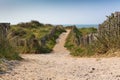 Sand footpath through dunes at the beach