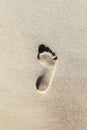 Single footprint on the beach sand
