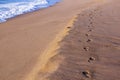 Sand Footprint Trail on Empty Beach Next to Ocean Royalty Free Stock Photo