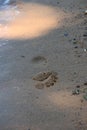 Sand footprint water by lake