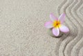 Sand and frangipani flower on a zen stone Royalty Free Stock Photo