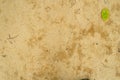 The sand that is full of footprints, shoes, branches, leaves Royalty Free Stock Photo