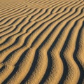 Sand is golden brown and the waves are evenly spaced shaped by wind Royalty Free Stock Photo