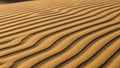 The sand is golden with a smooth texture and the shadows accentuate the ridges Royalty Free Stock Photo