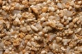 Sand Grains Background Texture Royalty Free Stock Photo