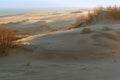 Sand dune, the sand and the grass on the hilly shore of the sea Royalty Free Stock Photo