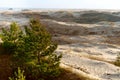 Sand dune, the sand and the grass on the hilly shore of the sea Royalty Free Stock Photo