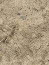 Sand ground photo background with boot prints Royalty Free Stock Photo