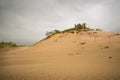 Sand Hills at Warren Dunes Park