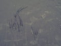 Sand, kelp and seashells background. Human footprints. Beach after heavy rain. Natural brown material after the storm