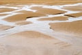 Sand landscape at low tide with water grooves