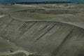 The sand landscape with woods and levees in Taiwan.