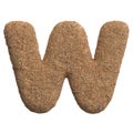 Sand letter W - Capital 3d beach font - Holidays, travel or ocean concepts