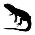 Standing Sand Lizard Silhouette. Good To Use For Element Print Book, Animal Book and Animal Content