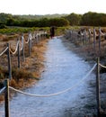 Sand long pathway circluying of wood stakes