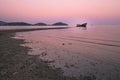 Sand in mangorve forest lead to the shipwreck with pink purple sky in the water at sunset time Royalty Free Stock Photo