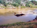 sand miners on the cisanggarung river west java cirebon area