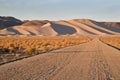 Sand Mountain, Nevada Royalty Free Stock Photo