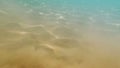 Sand muddle turbulence in water on sea bottom, underwater background