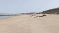 Sand natural wild ocean beach in Soulac-sur-Mer near le verdon in France Royalty Free Stock Photo