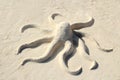 Sand octopus sculpture in white beach Royalty Free Stock Photo