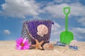 Sand Pail With Net and Sea Shells on Sand With Sky Background Royalty Free Stock Photo