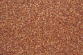 Sand paper texture background Royalty Free Stock Photo