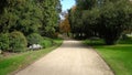 Sand path lined with trees