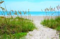 Sand path through sea oats to calm blue ocean beach Royalty Free Stock Photo