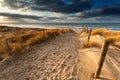 Sand path to North sea beach Royalty Free Stock Photo