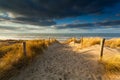 Sand path to North sea beach in sunlight Royalty Free Stock Photo