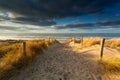 Sand path to North sea beach in sunlight