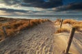 Sand path to North sea beach in sunshine Royalty Free Stock Photo