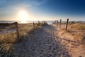 Sand path to North sea beach Royalty Free Stock Photo