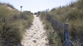 Sand path way dune access to the beach sea with fence in summer day Royalty Free Stock Photo