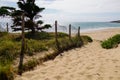 Sand pathway access to french sea coast of atlantic beach sea in summer day Royalty Free Stock Photo