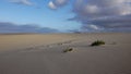 Sand pattern, Park Natural, Corralejo, Fuerteventura, Canary islands Royalty Free Stock Photo