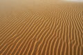 Sand Pattern, Silver Lake Sand Dunes