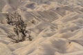 Sand pattern of vocano