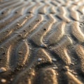 Sand patterns with a few scattered pebbles illuminated by low angle Royalty Free Stock Photo
